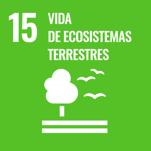 Vida de los ecosistemas terrestres